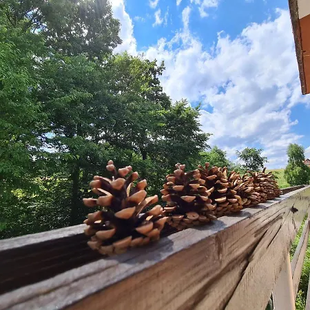 Planinska Kuca Koreni * Jasikovice