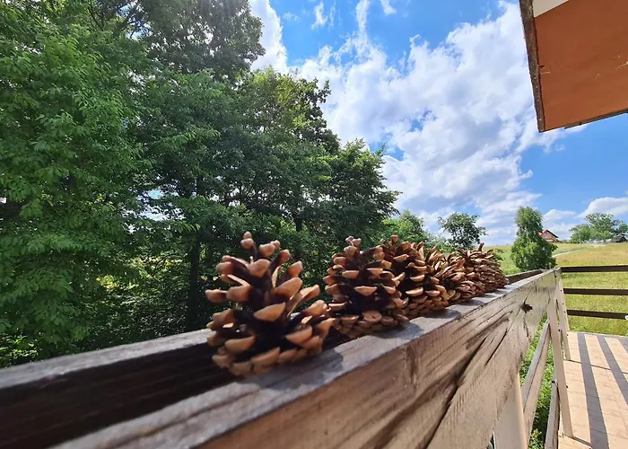 Planinska Kuca Koreni * Jasikovice
